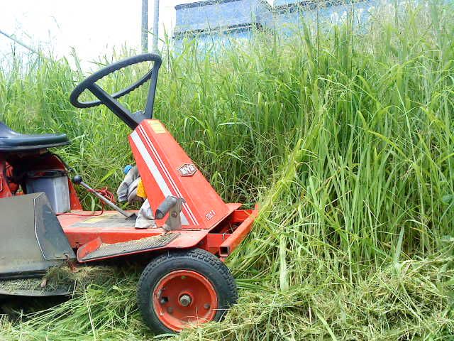 [Linked Image from i1239.photobucket.com]