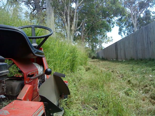 [Linked Image from i1239.photobucket.com]