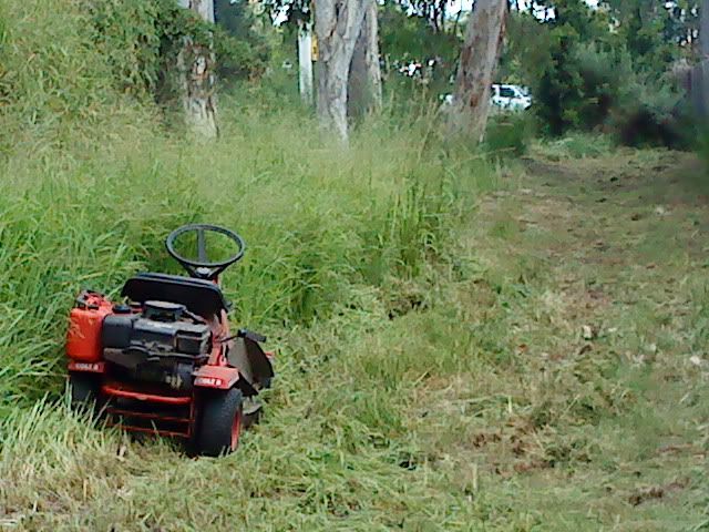 [Linked Image from i1239.photobucket.com]