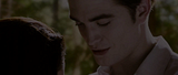 twilight saga, crep�sculo,robert pattinson,promo��o,design