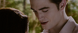 twilight saga, crep�sculo,robert pattinson,promo��o,design