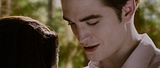 twilight saga, crep�sculo,robert pattinson,promo��o,design