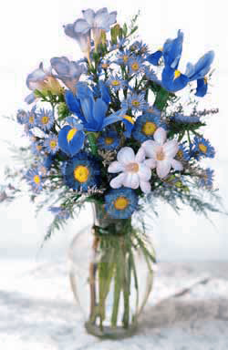 BlueWhiteFlowers.png