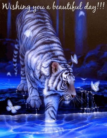 White-Tiger-Beautiful-Glitter.gif