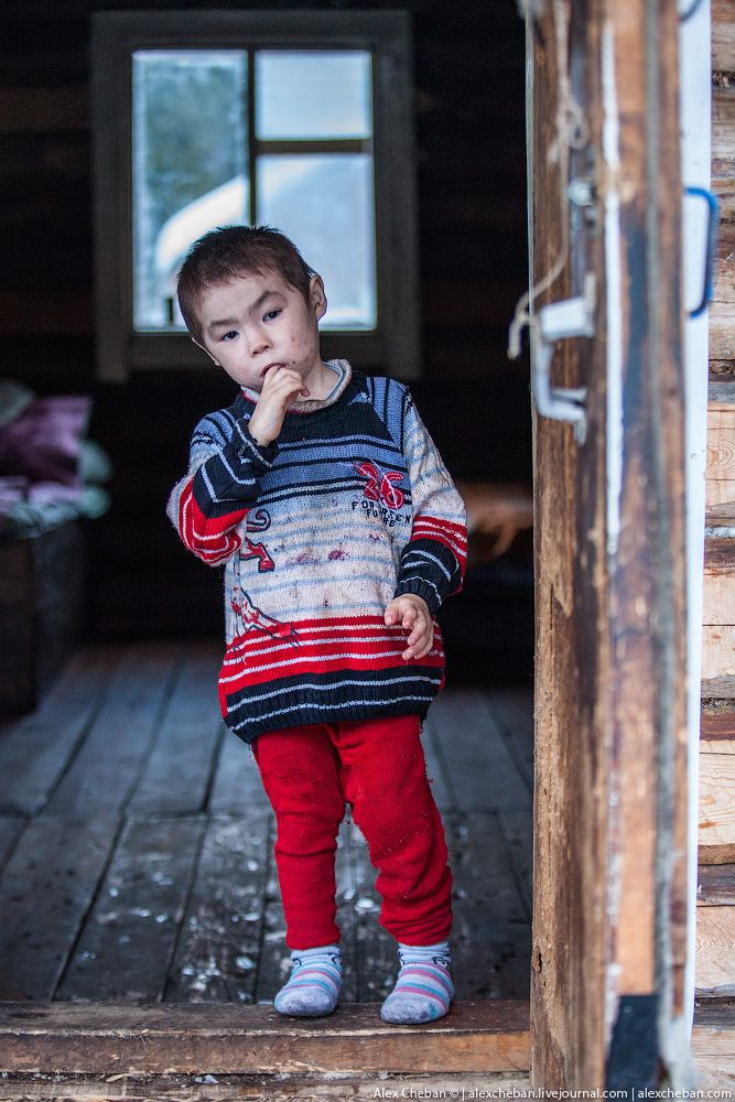 Счастливые люди русского севера: дети Тайги 