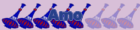Amo Amo
