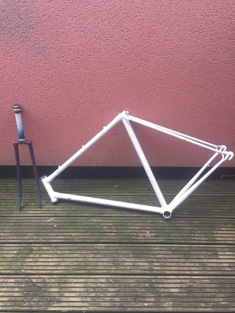 photo 3E09A06F-F9E3-4F12-805C-5E4FE321BA7F.jpg