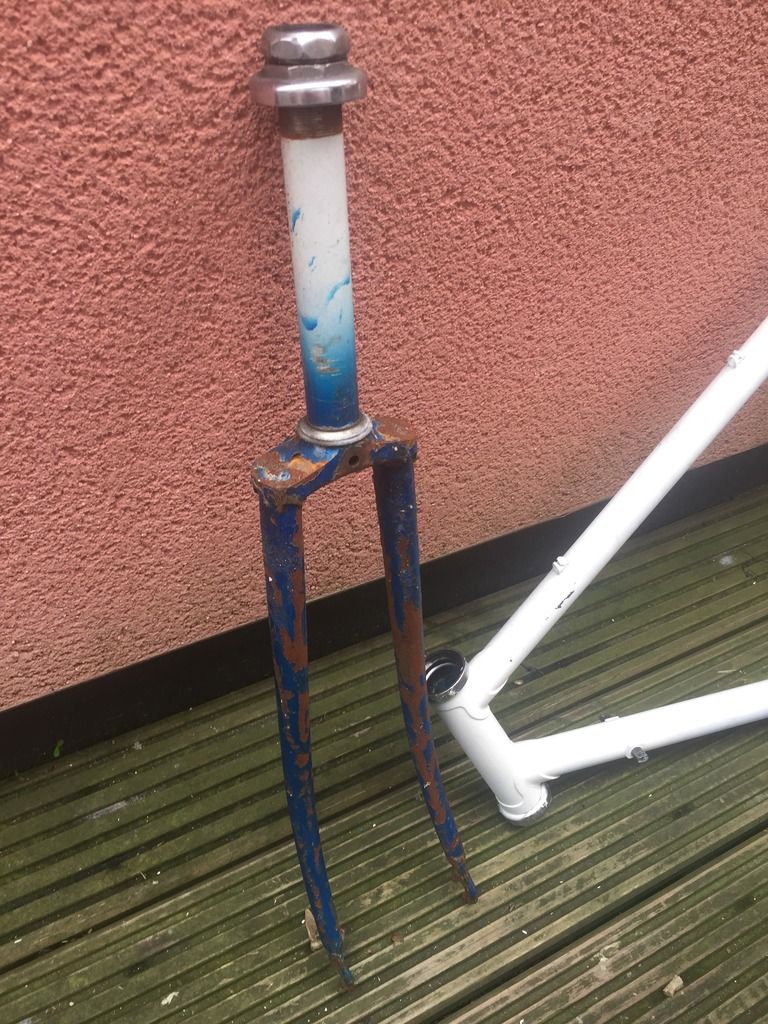 photo 6524D5A8-5593-4AF4-BA8D-1936B05BF372.jpg