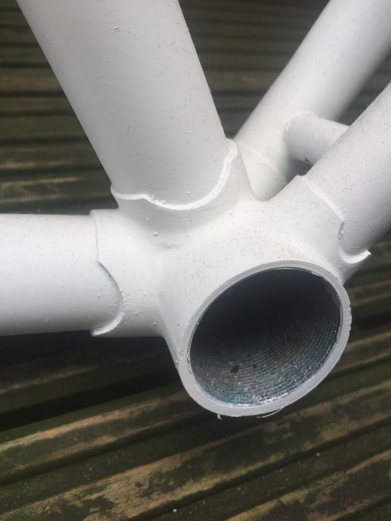 photo 8B8913BB-2DC6-4E10-86DE-14D3957F694D.jpg