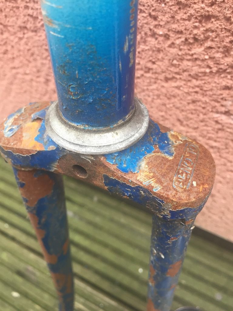 photo 8CBF0891-8D6E-4C35-90B2-CFD4F68D0CEB.jpg