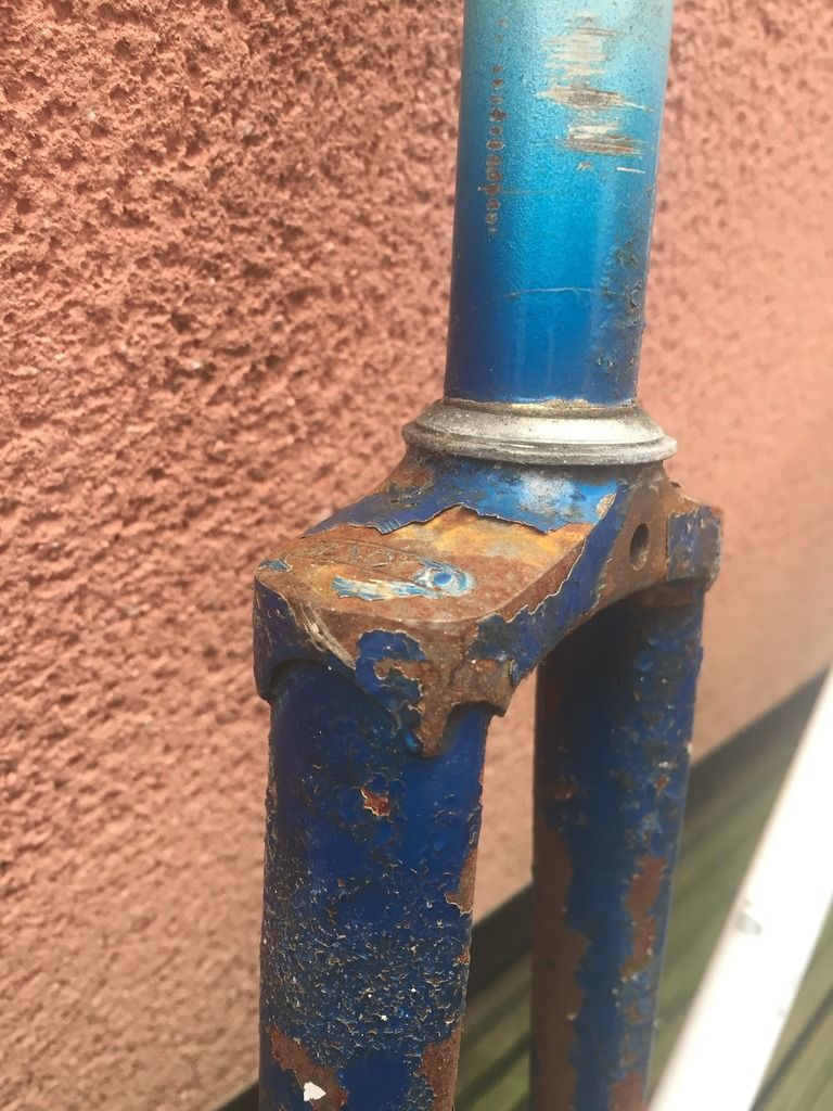 photo EE5C21A2-7105-416A-AE45-6EDF63F5DEA2.jpg