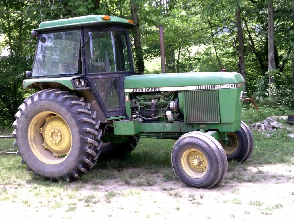 Beef farming 101... - Cattle