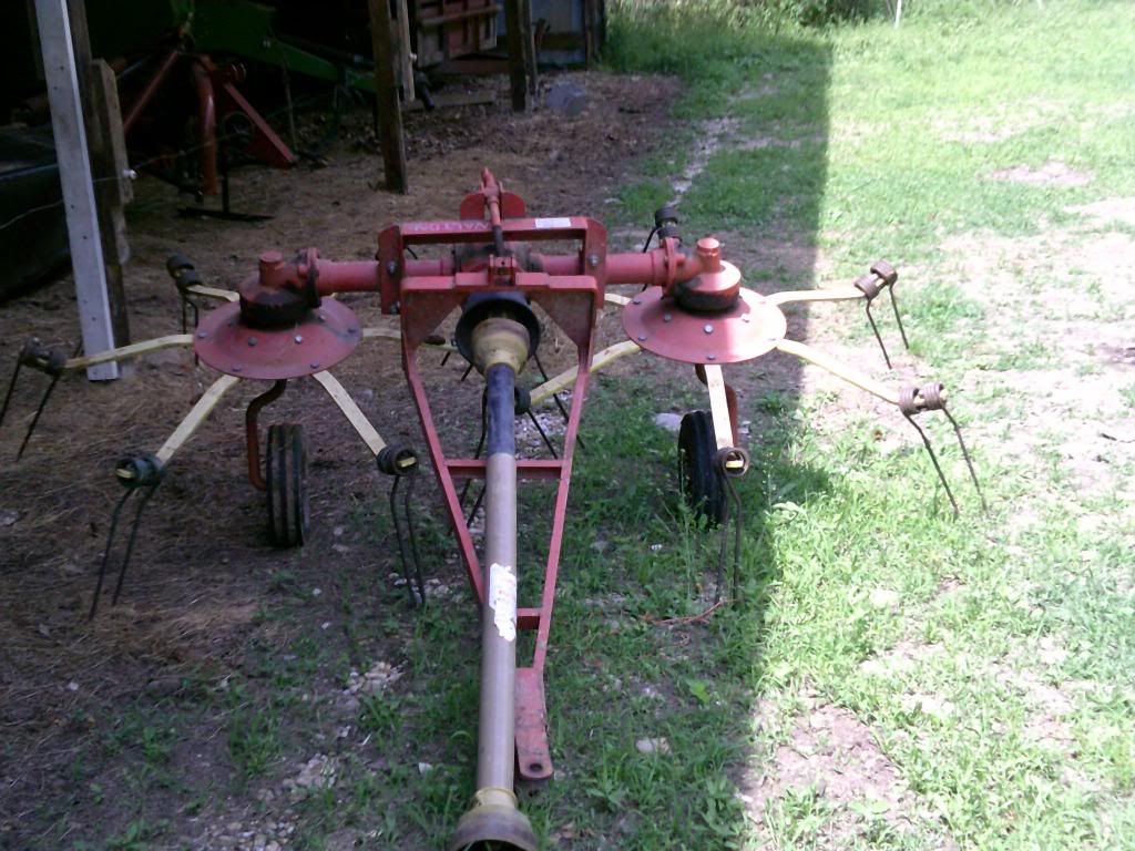 Beef farming 101... - Cattle