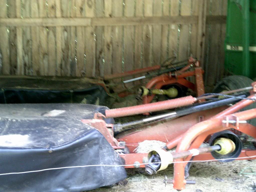 Beef farming 101... - Cattle