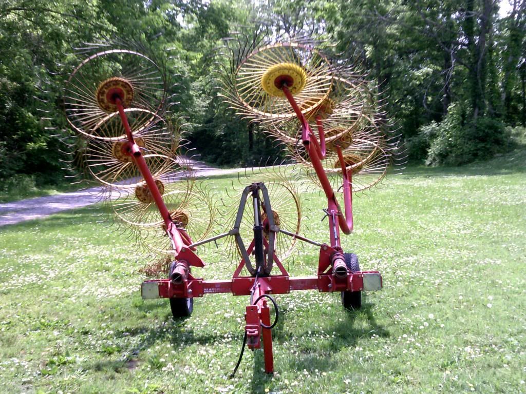 Beef farming 101... - Cattle