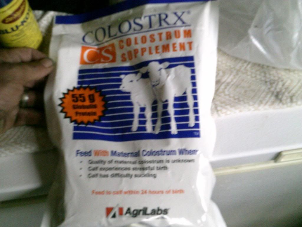 Beef farming 101... - Cattle