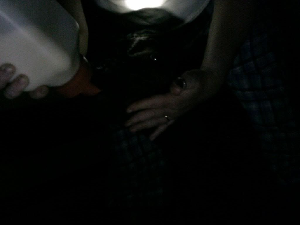 Beef farming 101... - Cattle