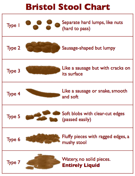 bristol_stool_chart_zpsbd879579.gif
