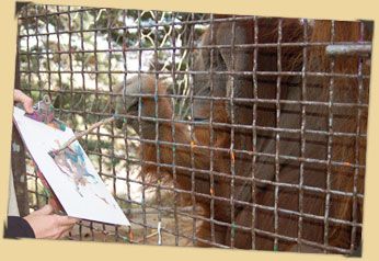 imagepic-orangutanart_zps171f28d8.jpg