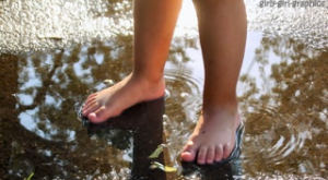 life quote Pictures, Images and Photos