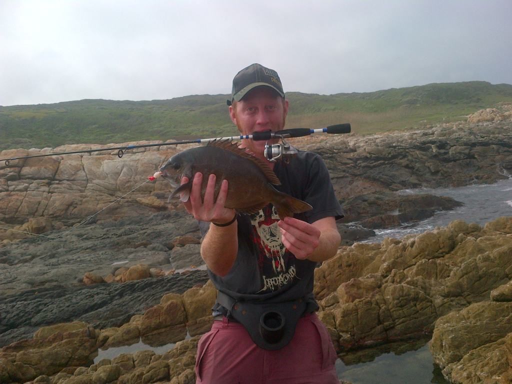 guys lets determine what lures works best for this  SEALINE - South  African Angling and Boating Community