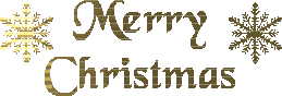 Christmas Glitter Photo Picture