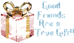 Christmas Gift Photo Picture
