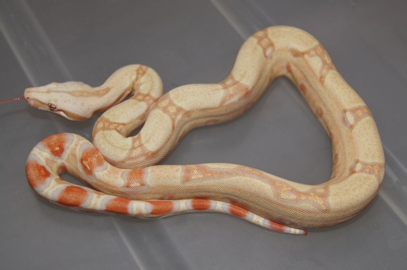 fem_zps840dcb12.jpg