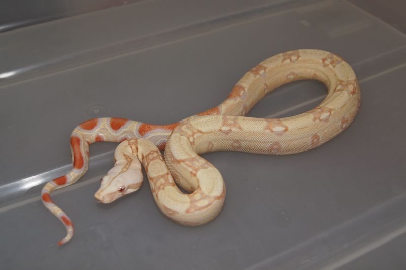 male1_zps3fb92671.jpg