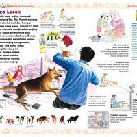 Mizan Dian Semesta Bookadvisormds On Photobucket Photobucket