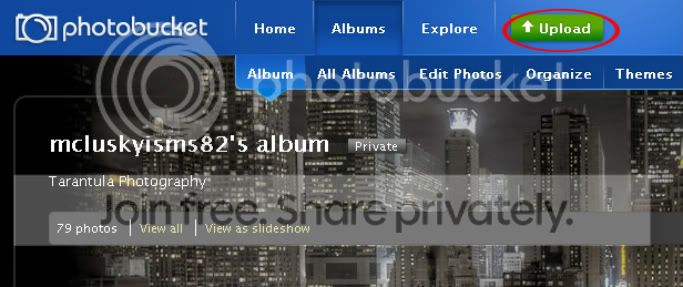 Posting Pictures using Photobucket - Updated Version | Reptile Forums