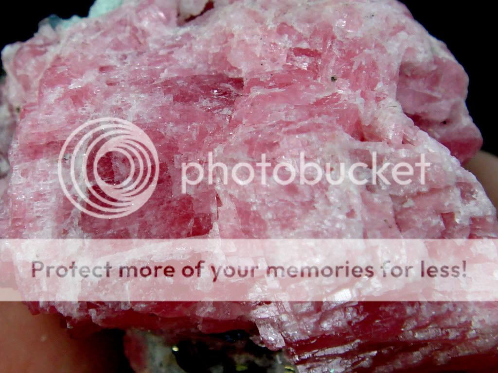 We photograph each specimen ourselves. The item you see pictured above 
