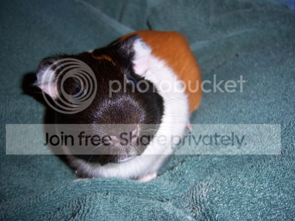 172_1748.jpg