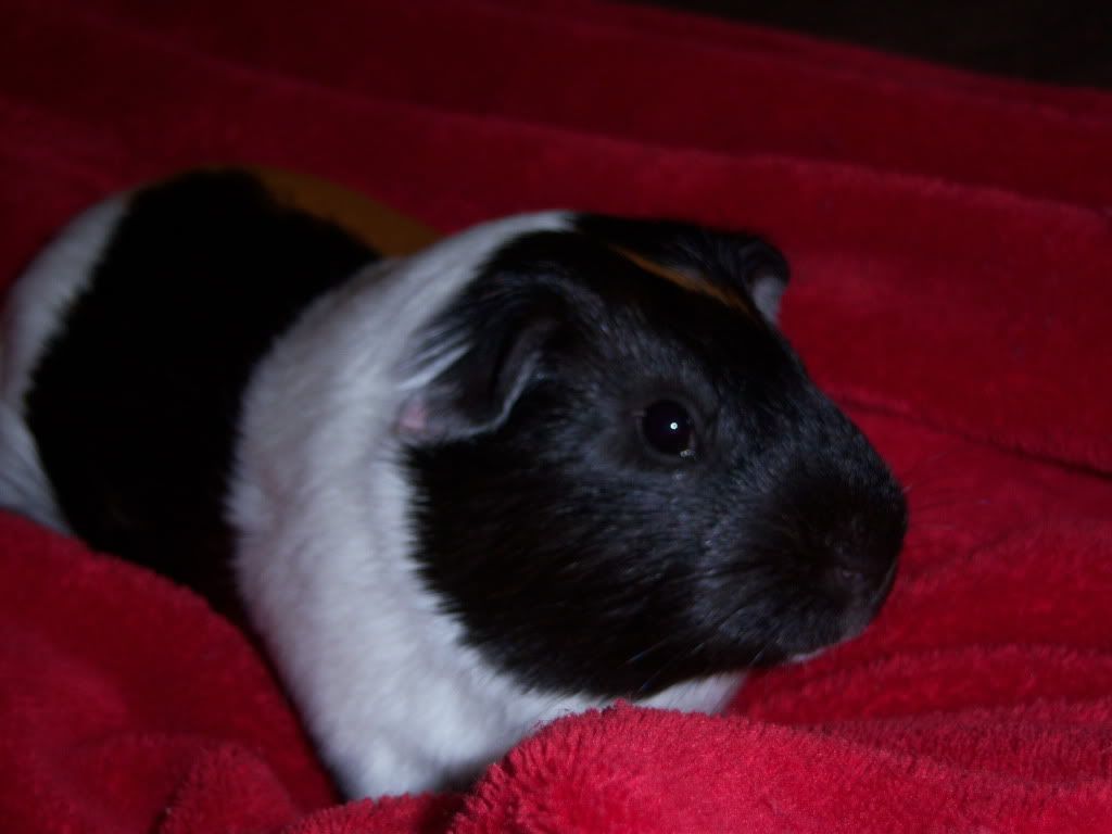 Picture001.jpg